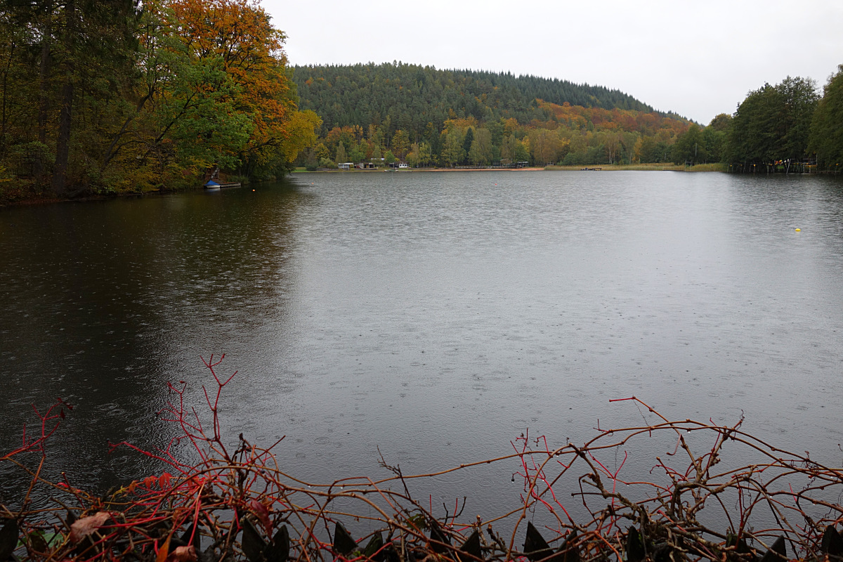 Gelterswoog bei noch wenig Regen