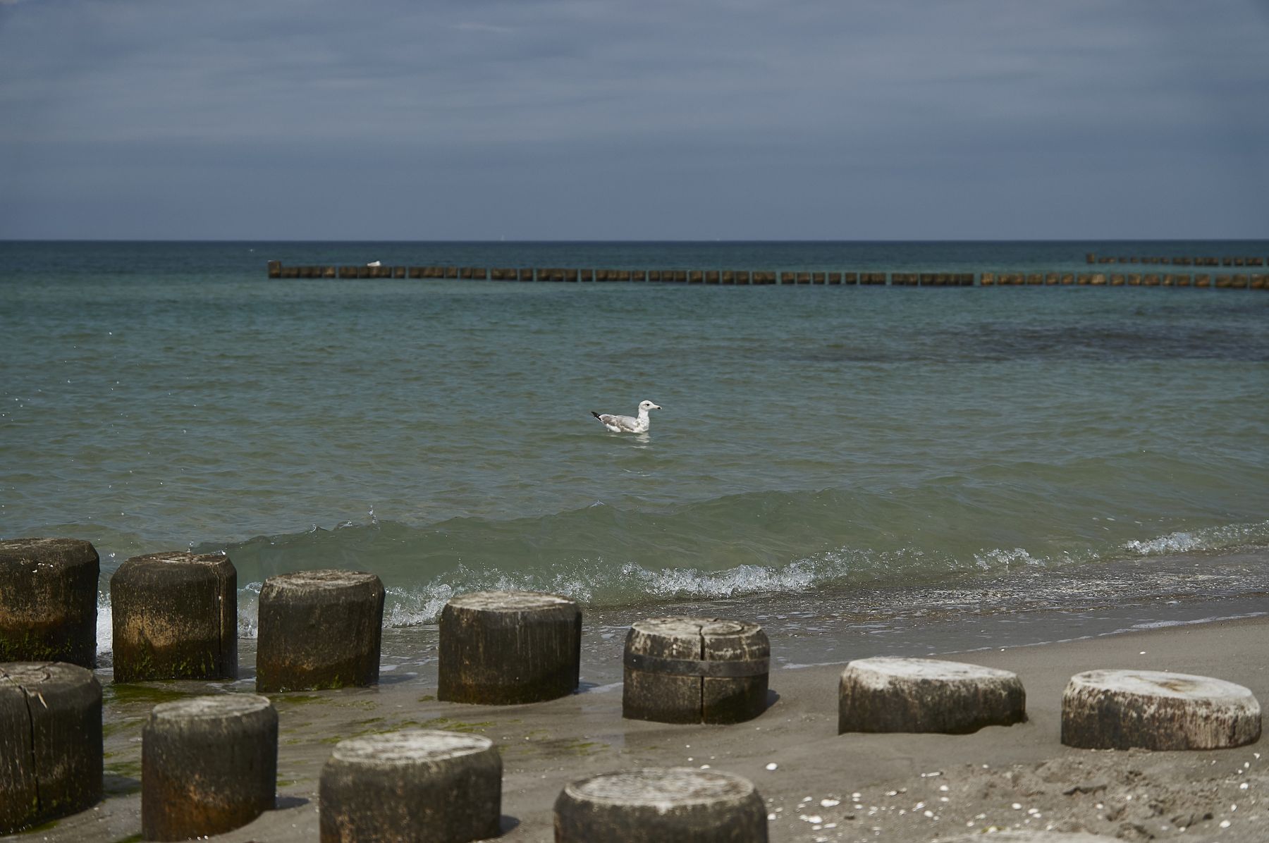 Poller am Strand