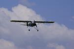 Fieseler Storch (1)