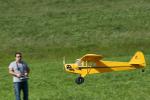 Piper Cub (3)