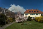 Waldbrand1