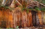 Karijini National Park