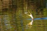 Kakadu Nationalpark