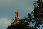 Kakadu Nationalpark