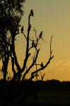 Kakadu Nationalpark