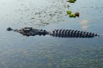 Kakadu Nationalpark