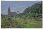 Rosenfest_2014