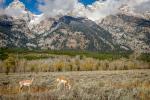 Von Kalifornien nach Wyoming