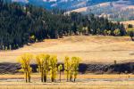 Von Kalifornien nach Wyoming