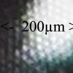 200 µm Ausschnitt