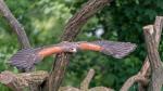 Flugschau im Berliner Tierpark