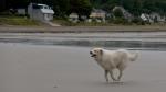 Schweben am Strand