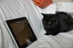 Blacky vor iPad