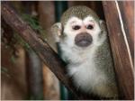 Fototreffen Tierpark Aschersleben