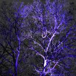 Winterlichter_05