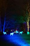 Winterlichter_11