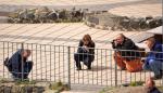 Vier erwachsene Fotografen kriechen auf dem Boden rum