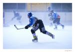 Eishockey 5