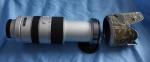 70-400G Sony 2021-01-23 A-Mount 058a 1600