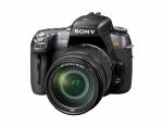 Sony alpha 550