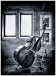 Double Bass