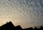 Altocumulus stratiformis