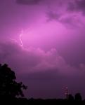 Purple Lightning