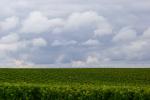 Wein und Wolken