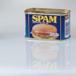 SPAM