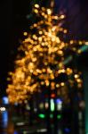 Bokeh-Baum