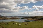 Schottland - Easdale - Cullipool