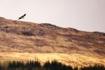 Schottland - Rannoch Moor