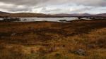 Schottland - Rannoch Moor