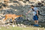 Wildpark Ernstbrunn