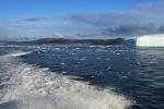 Die Eisberge kommen