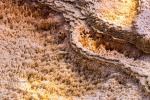 Mammoth Hot Springs 3