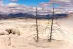 Mammoth Hot Springs 2a
