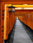 Fushimi-Inari Shrine,Kyoto