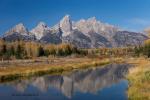 Grand Tetons Spiegelung