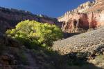 Grand Canyon 08