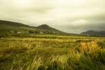 Irland 2014 - Dingle und Umgebung