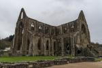 Tintern Abbey