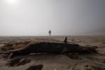 Nebel am Strand von Newborough Teil 4