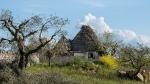 Trulli von Alberobello