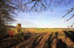 Übers Land in der Wetterau