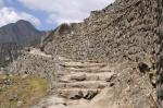 Machu Picchu 03