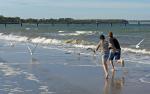 Möwenjagd am Ostseestrand