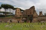 Rom Forum Romanum 5
