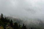 Smoky Mountains 7