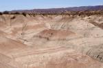 Ischigualasto-Valle Pintado